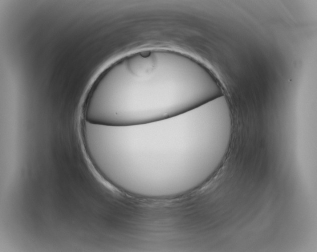 X0000115611519200911100921