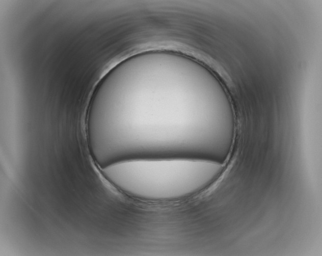 X0000115611521200911100921