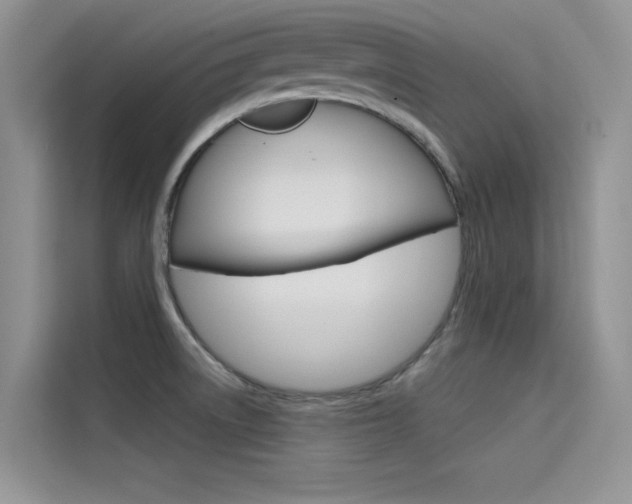 X0000115611522200911100921