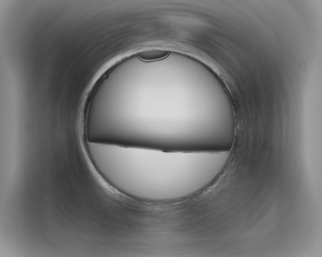 X0000115611523200911100921