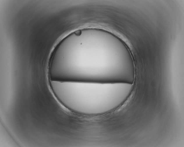 X0000115611525200911100921