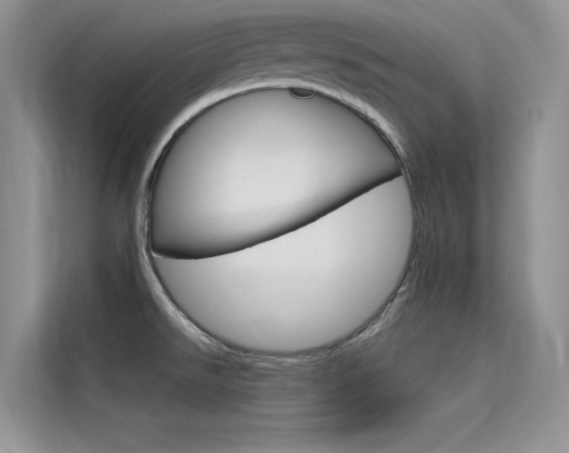 X0000115611526200911100921