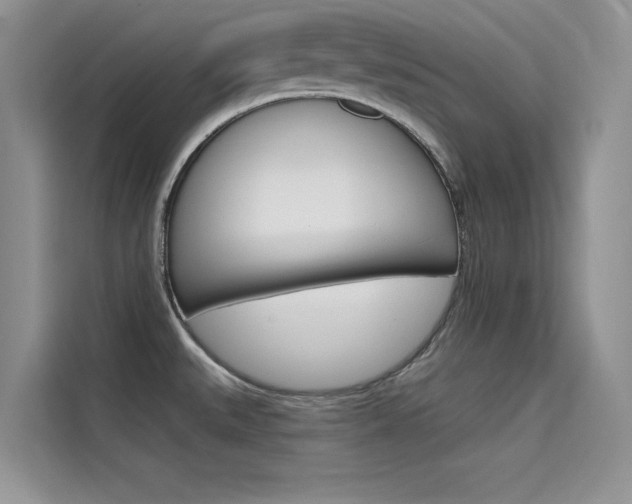 X0000115611527200911100921