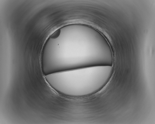 X0000115611529200911100921