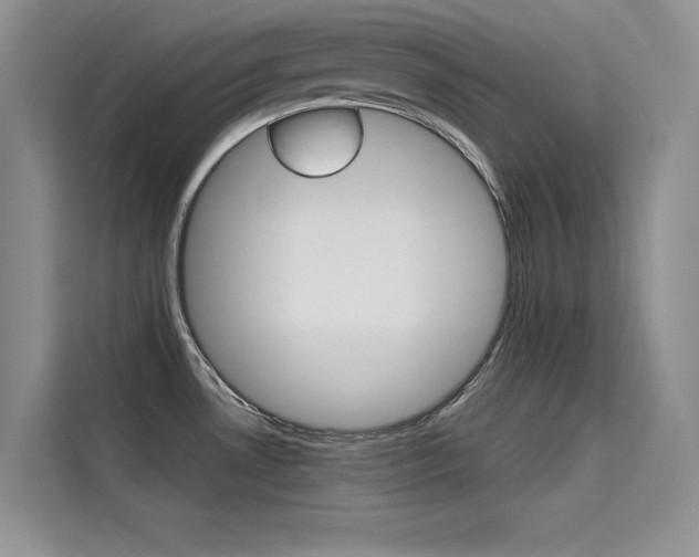 X0000115611530200911100921