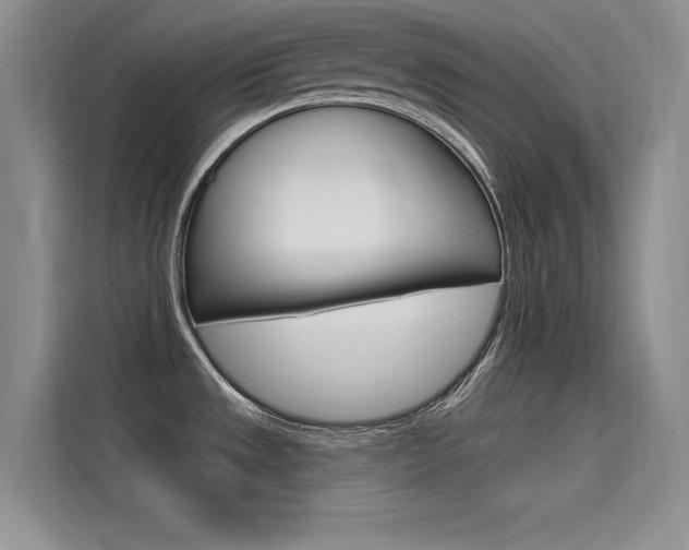 X0000115611533200911100921