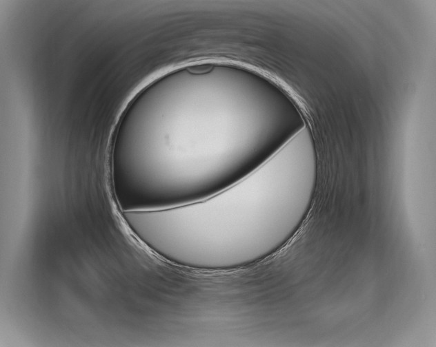 X0000115611534200911100921