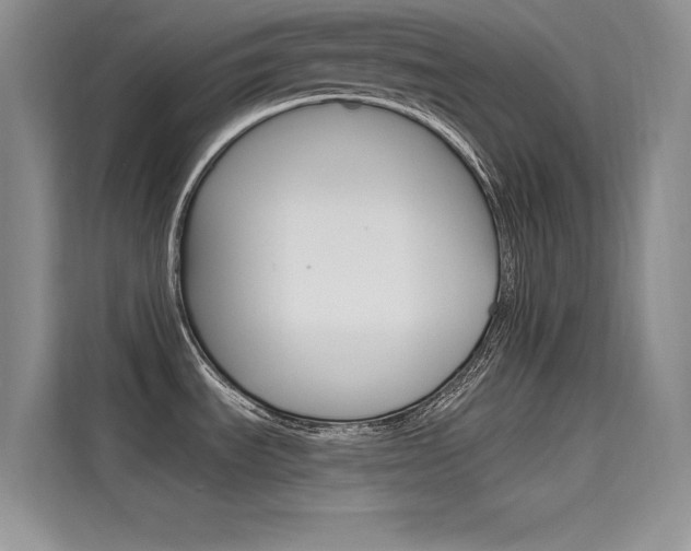 X0000115611535200911100921
