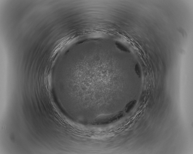 X0000115610002200911101437