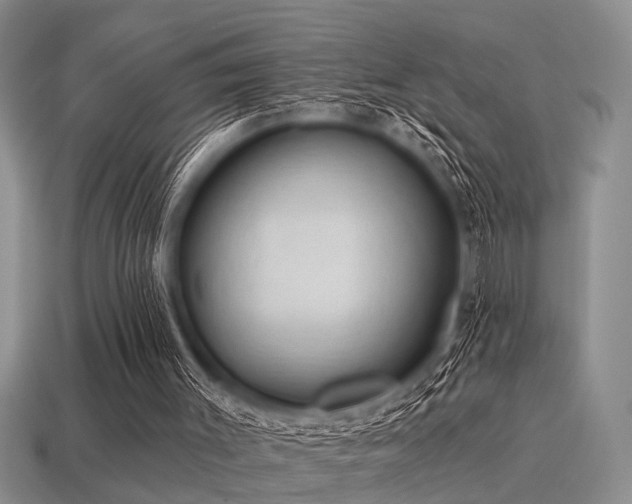 X0000115610003200911101437