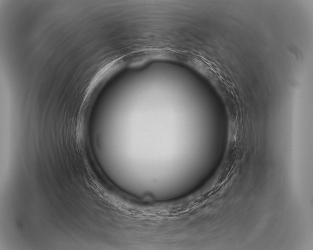X0000115610004200911101437