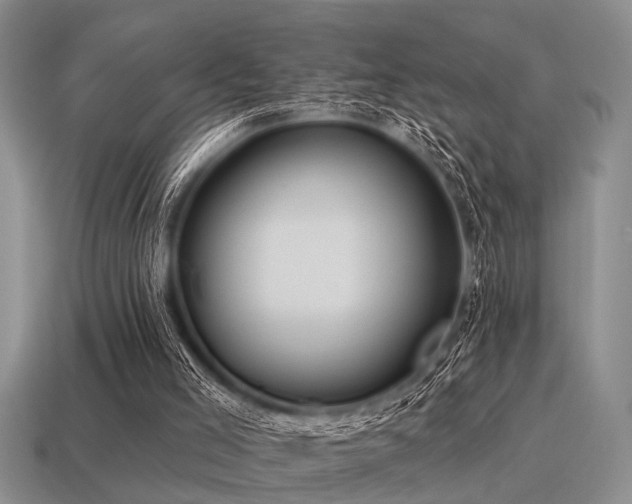 X0000115610005200911101437