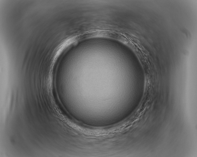 X0000115610006200911101437