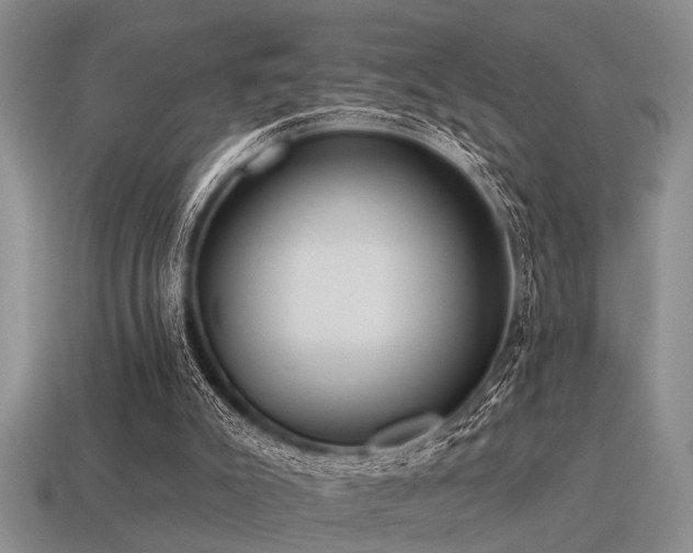 X0000115610007200911101437