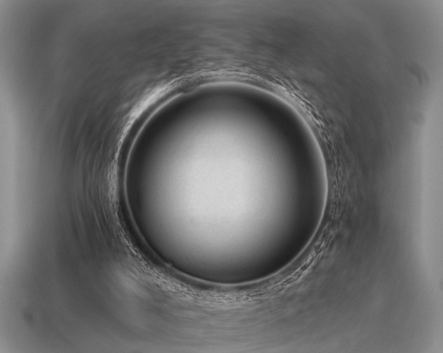 X0000115610008200911101437
