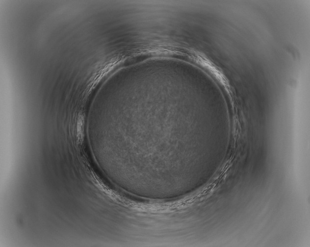 X0000115610009200911101437