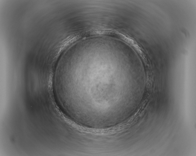 X0000115610010200911101437