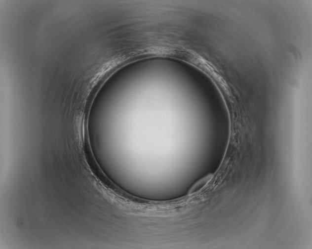 X0000115610011200911101437