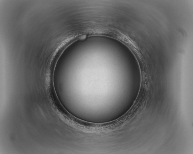 X0000115610012200911101437