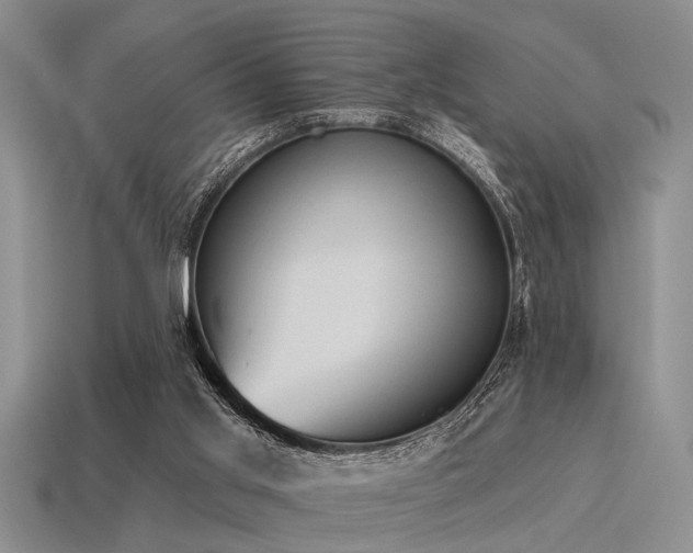 X0000115610013200911101437
