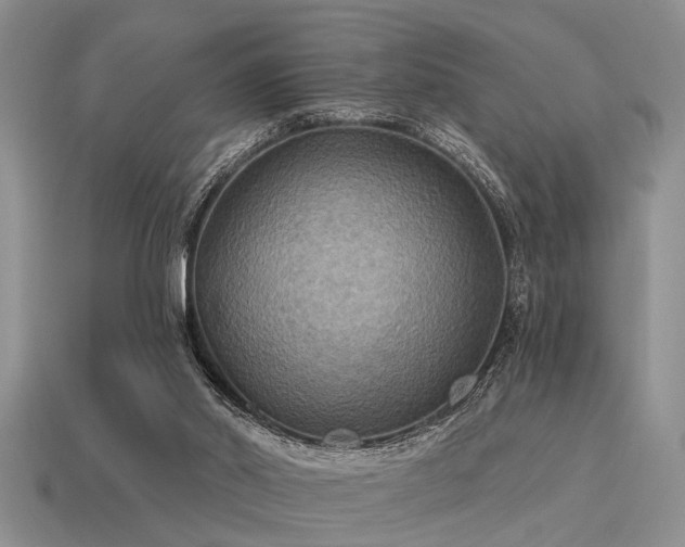X0000115610014200911101437
