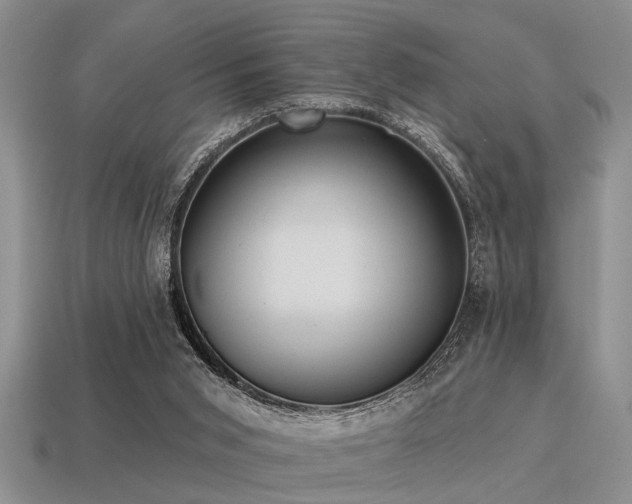 X0000115610015200911101437
