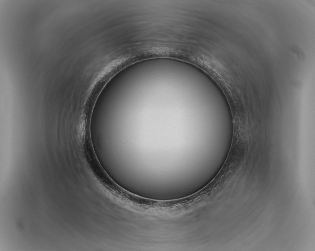 X0000115610016200911101436