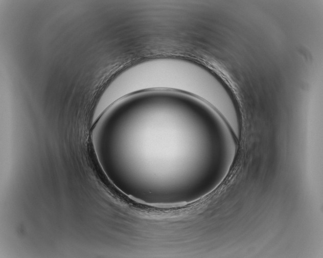 X0000115610017200911101436