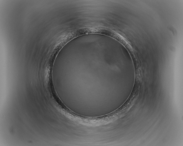 X0000115610018200911101436