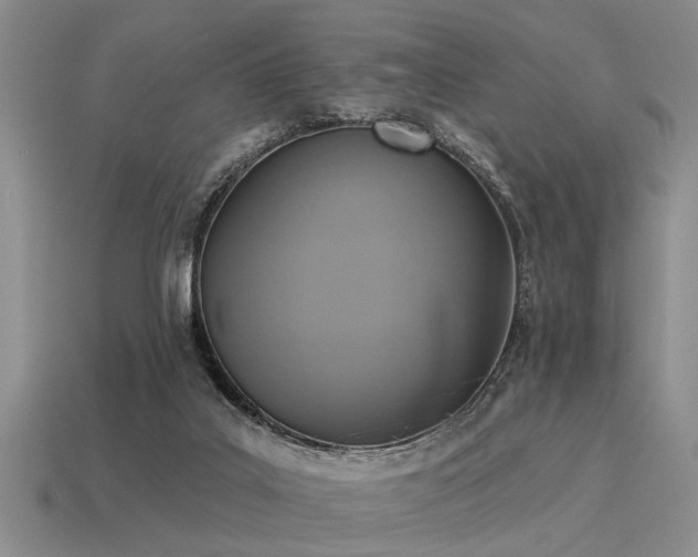 X0000115610019200911101436