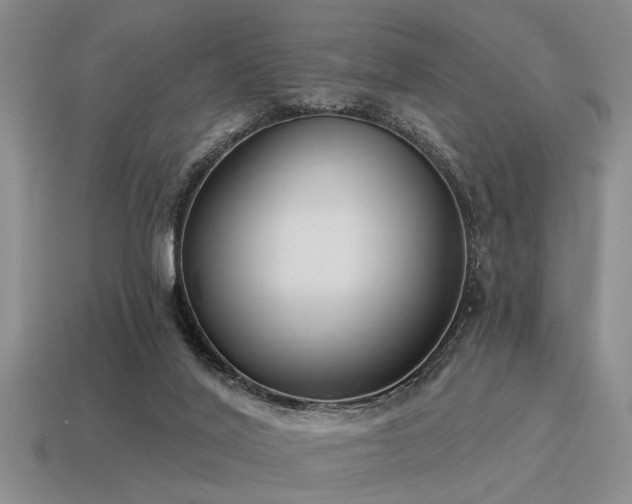 X0000115610020200911101436