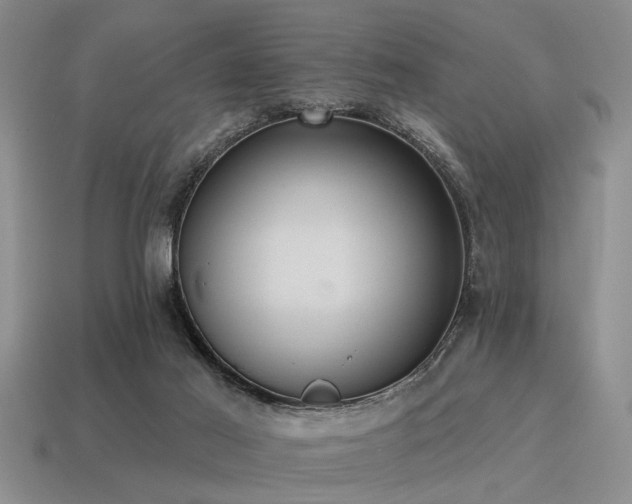 X0000115610021200911101436