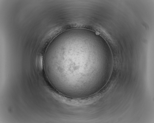X0000115610022200911101436