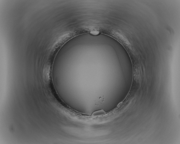 X0000115610023200911101436