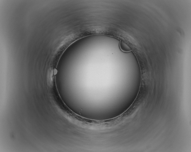 X0000115610024200911101436