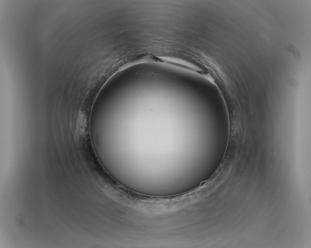X0000115610025200911101436
