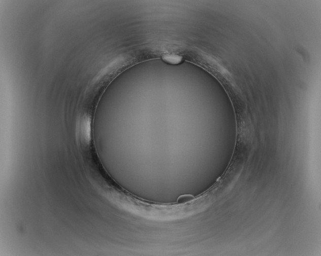 X0000115610027200911101436