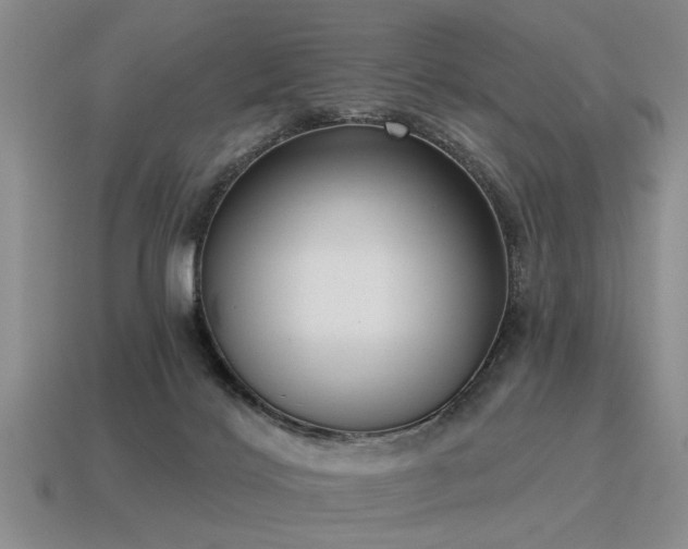 X0000115610028200911101436