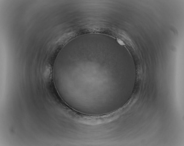 X0000115610029200911101436