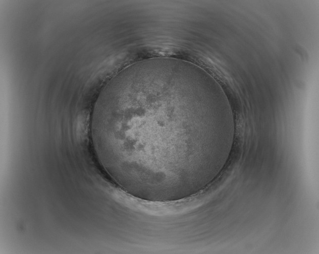 X0000115610030200911101436