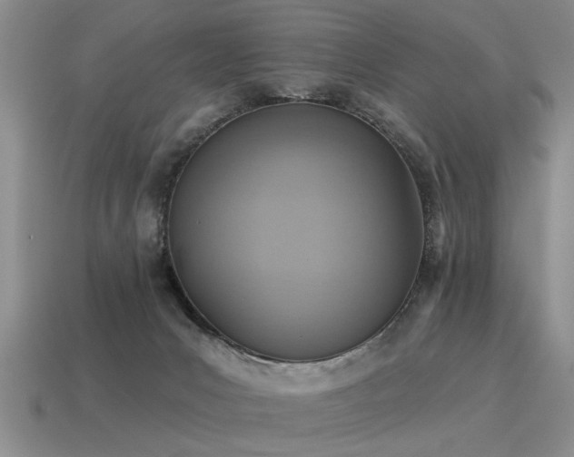 X0000115610031200911101436