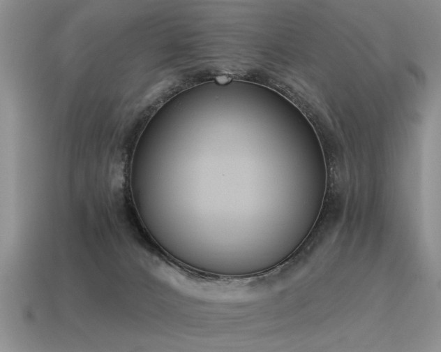 X0000115610032200911101436