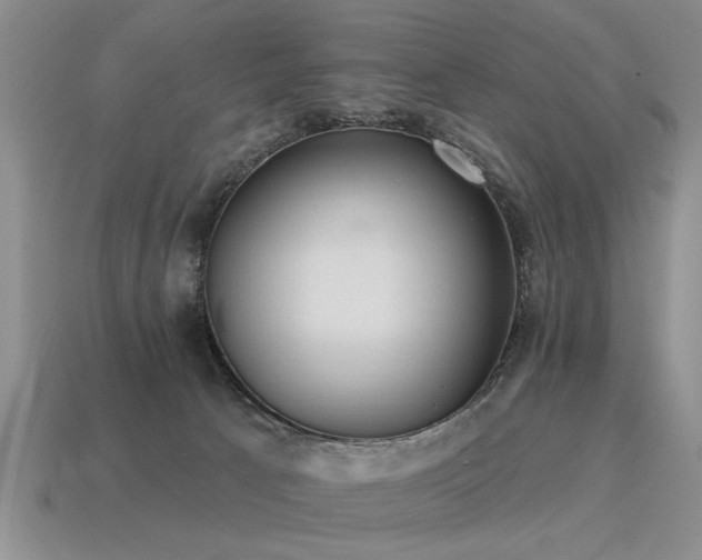 X0000115610033200911101436