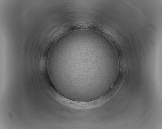 X0000115610034200911101436
