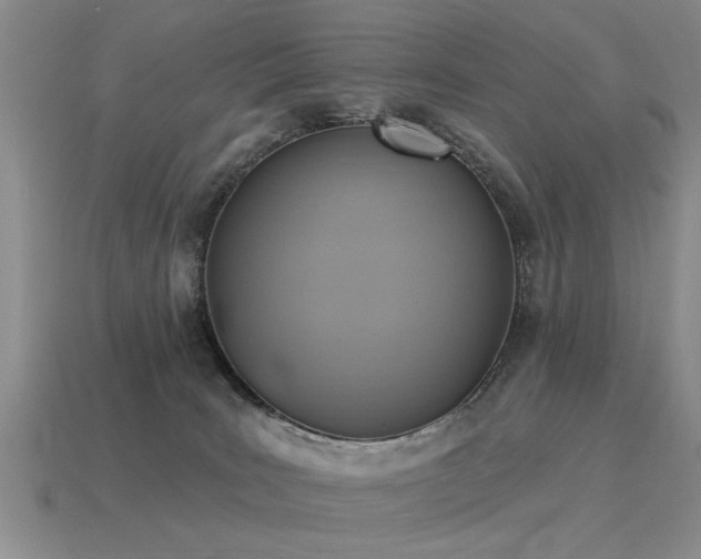 X0000115610035200911101436
