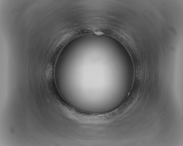 X0000115610036200911101436