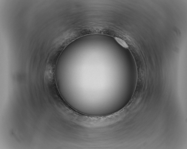 X0000115610037200911101436