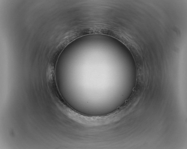 X0000115610038200911101436