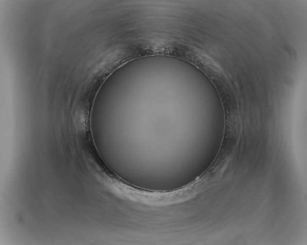 X0000115610039200911101436