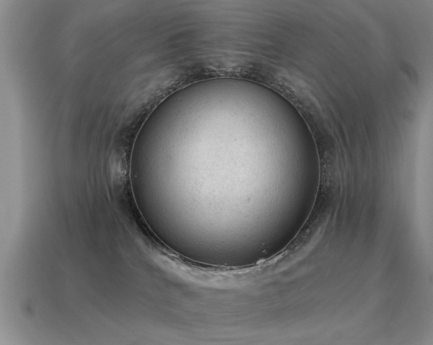X0000115610040200911101436